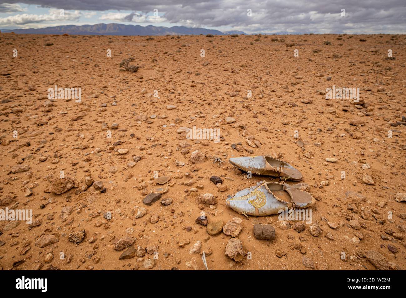 Maghreb alpargata perso nel deserto, valle del Muluya. Medio atlante. Marocco, Africa Foto Stock