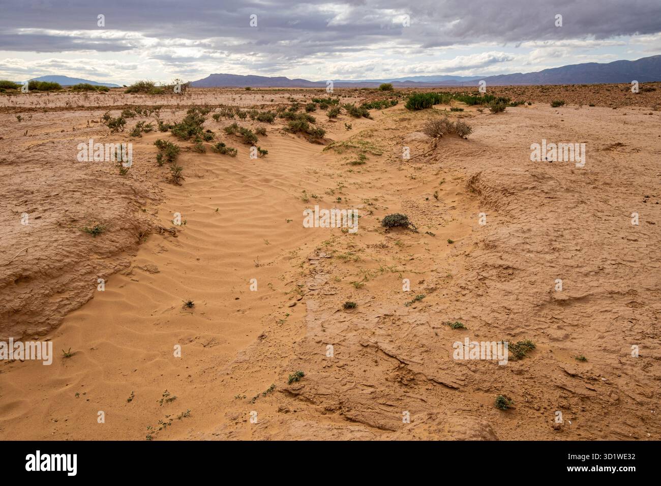 Valle di Muluya. Medio atlante. Marocco, Africa Foto Stock