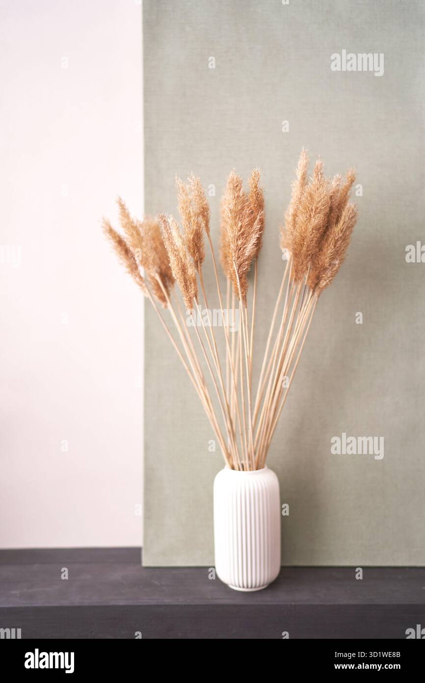 Pampas fiore alla moda. Interni di design. Bouquet minimo Foto Stock