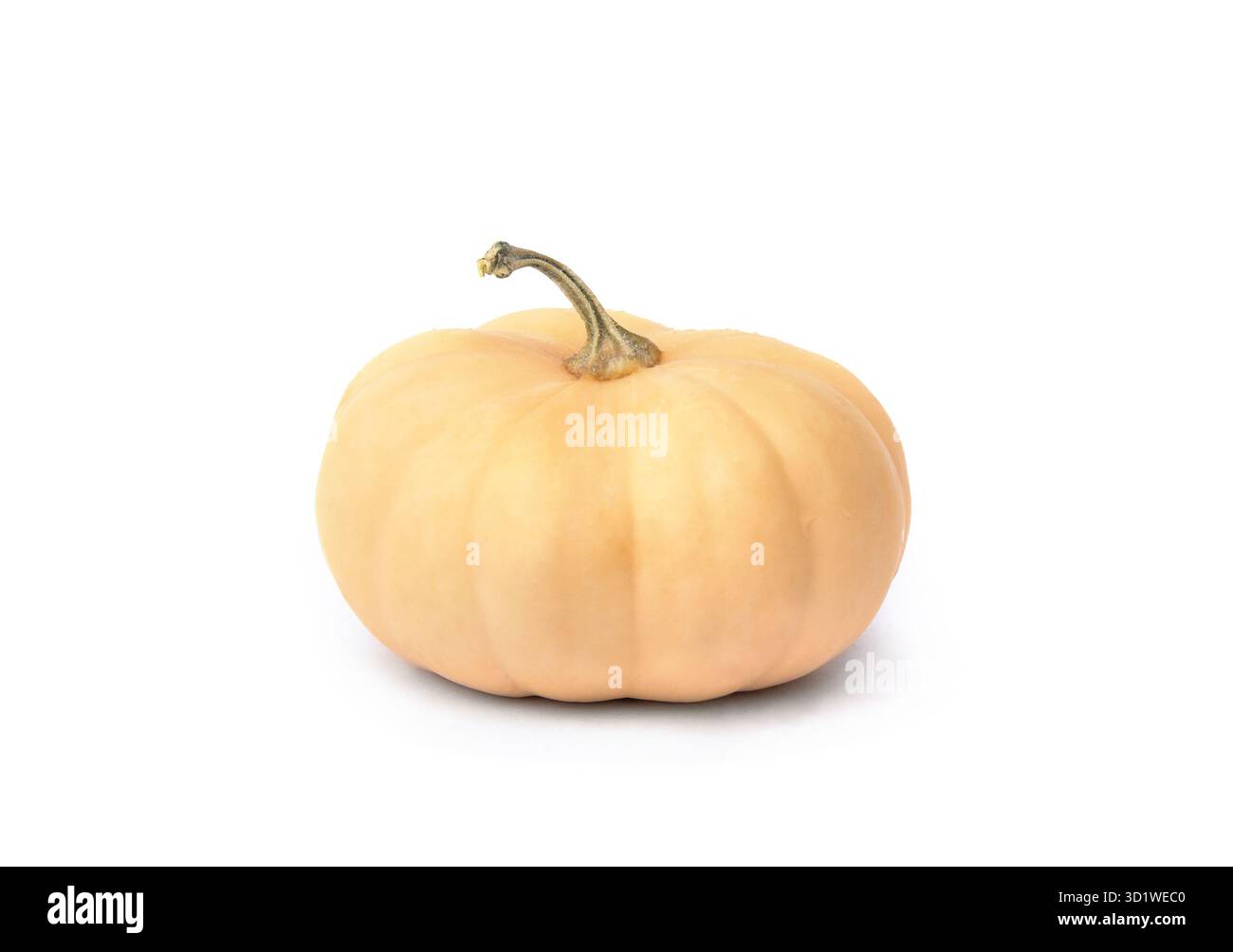 Un'intera zucca di moscato isolata su sfondo bianco con spazio vuoto per il testo, concetto alimentare minimo, alimentazione sana, verdure da raccolta autunnale Foto Stock