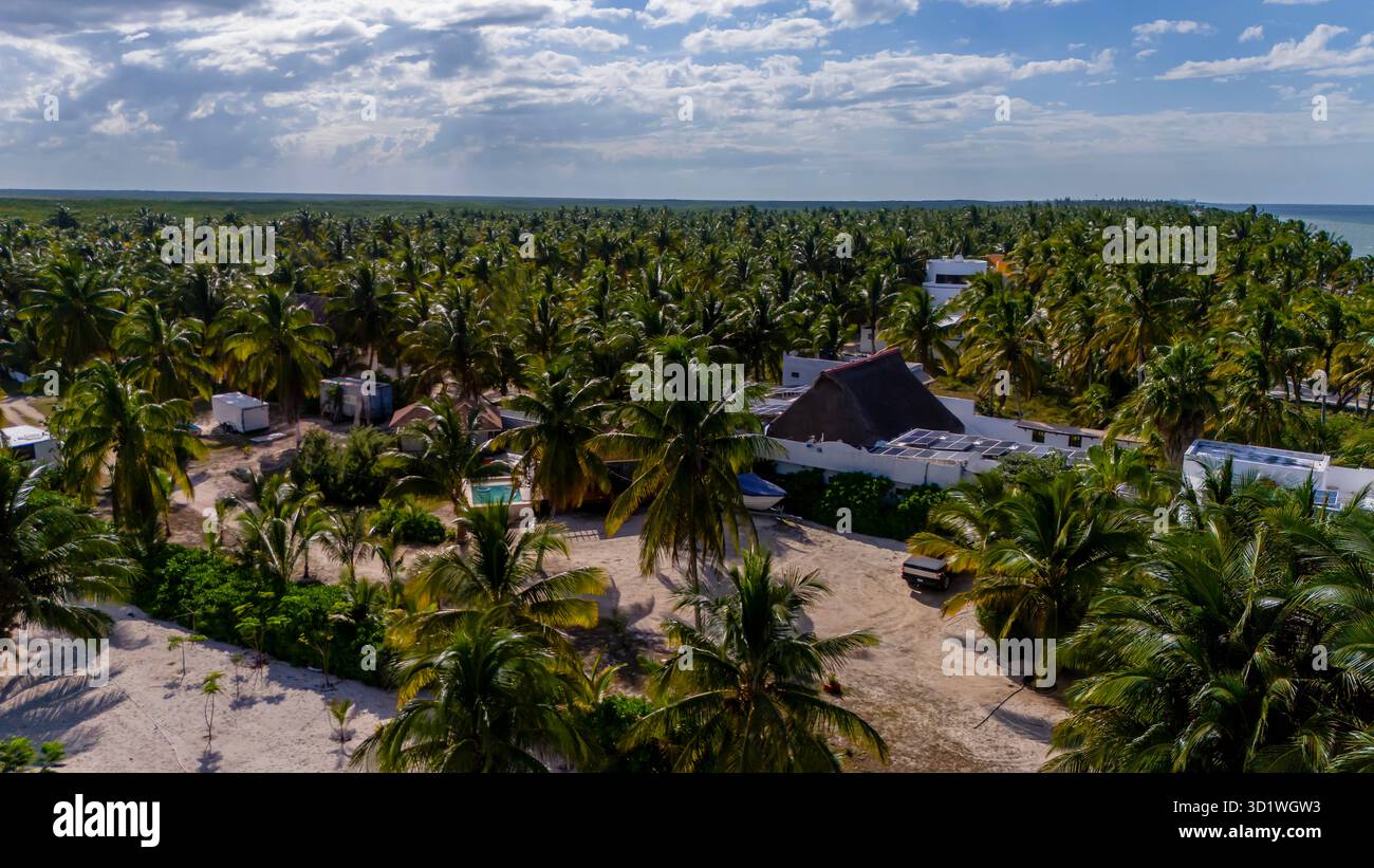 Servizi caraibici: Cieli azzurri, acque smeraldo e palme incorniciano un paradiso costiero Foto Stock
