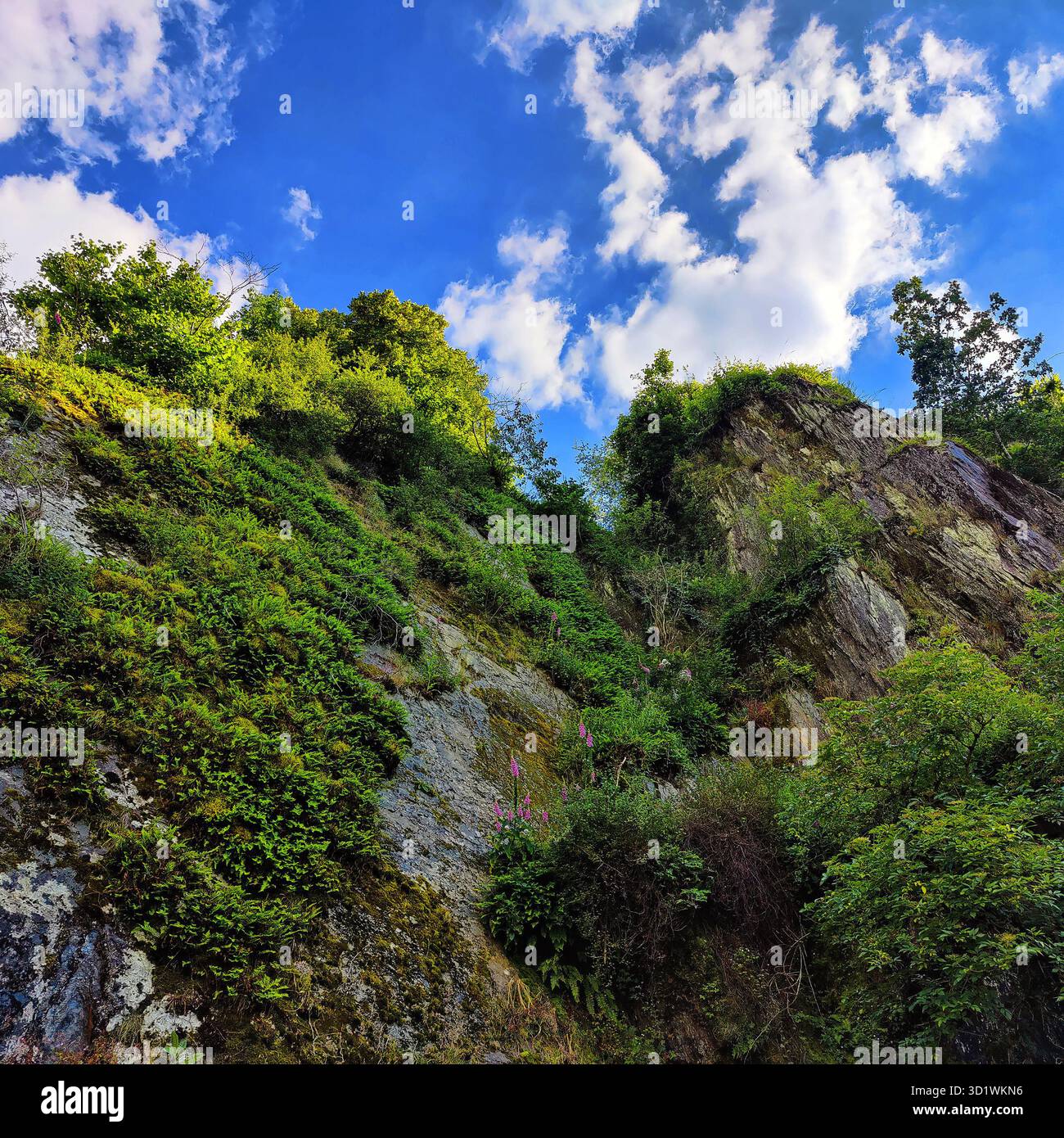 Parete rocciosa molto ripida, parzialmente ricoperta, con vista sul cielo, Vianden, Lussemburgo, Europa Foto Stock