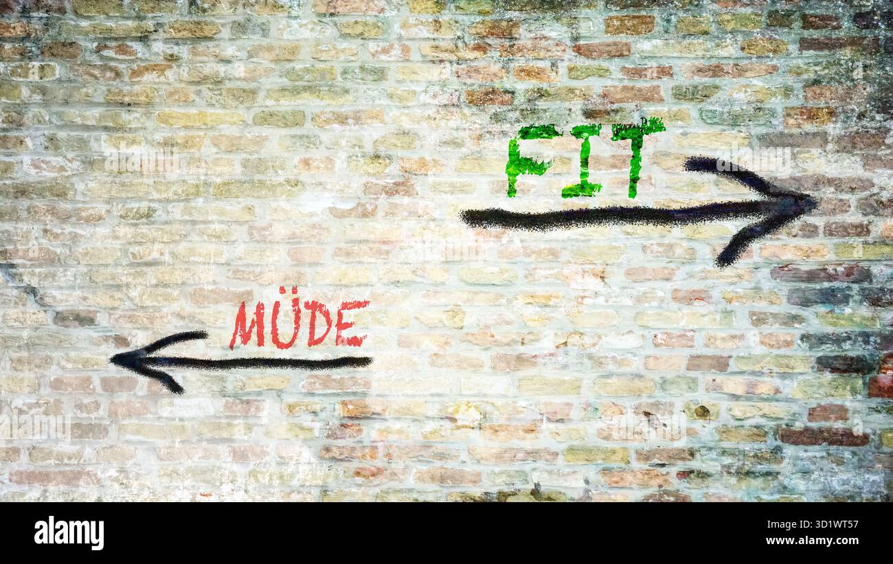 Un'immagine con un cartello che punta in due direzioni diverse in tedesco. Una direzione punta a trovare, l'altra punta a Cerca. Foto Stock