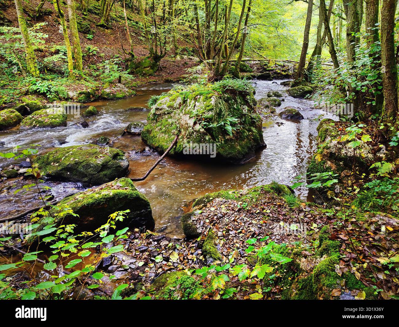 Il fiume naturale Drohn, Morbach, Renania-Palatinato, Germania, Europa Foto Stock