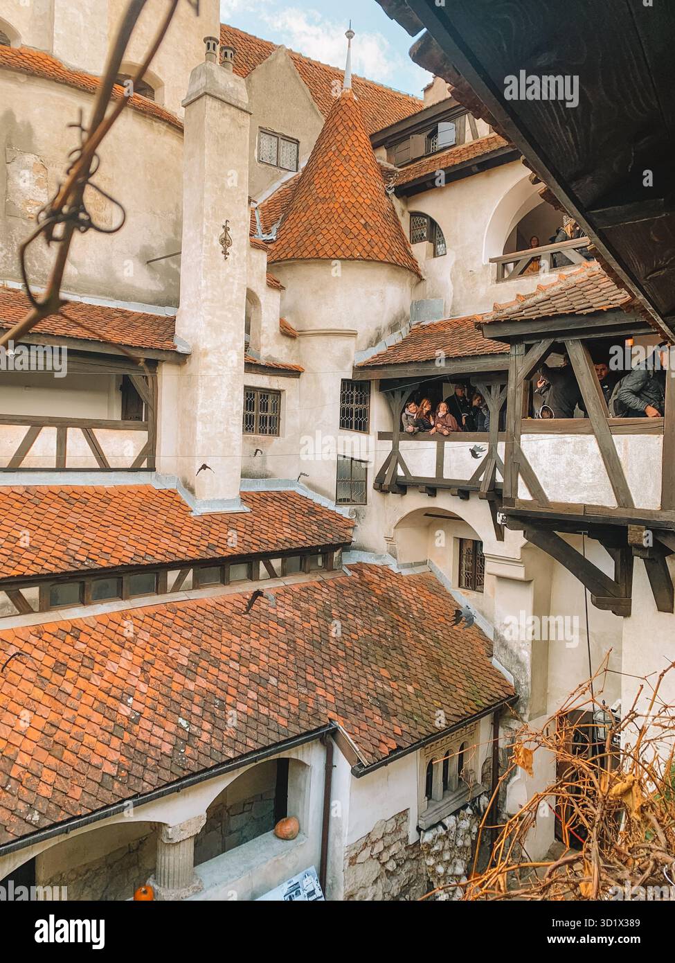 Spaventosa vista di Halloween del castello di Bran, del castello di Dracula in Transilvania, Romania - Immagine stock catturata con smartphone