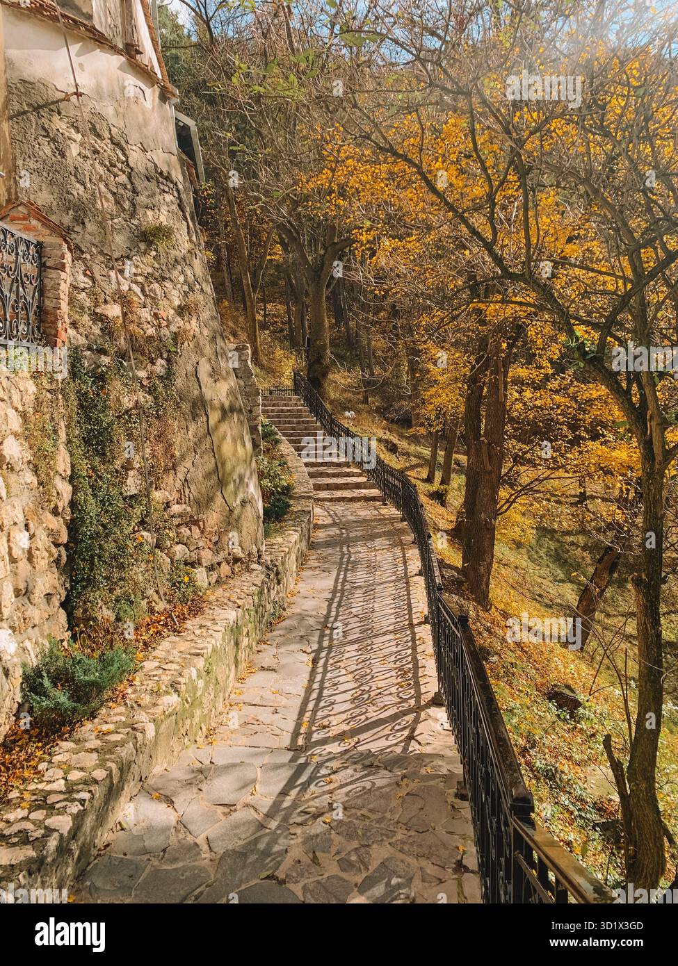 Spaventosa vista di Halloween del castello di Bran, del castello di Dracula in Transilvania, Romania - Immagine stock catturata con smartphone