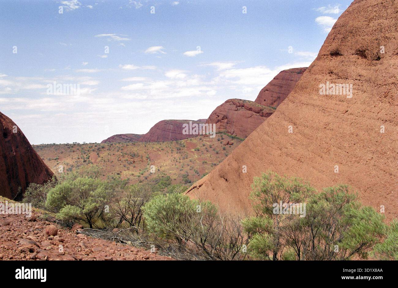 Cupole di roccia di Kata Tjuta nel Red Centre australiano, che mostrano aspre formazioni di arenaria e vegetazione desertica. Foto Stock