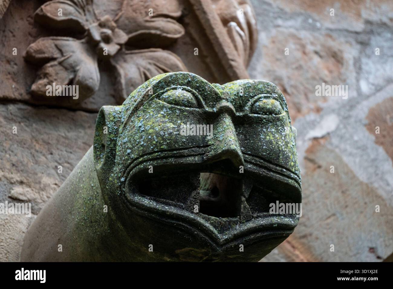 Gargoyle per lo scarico Foto Stock