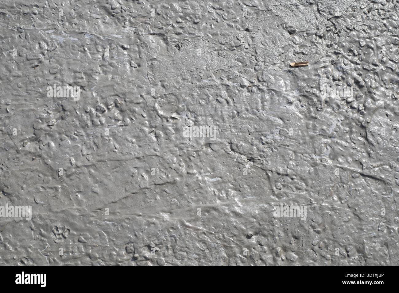 Argilla grigia bagnata con piccole pietre e superficie naturale ruvida Foto Stock