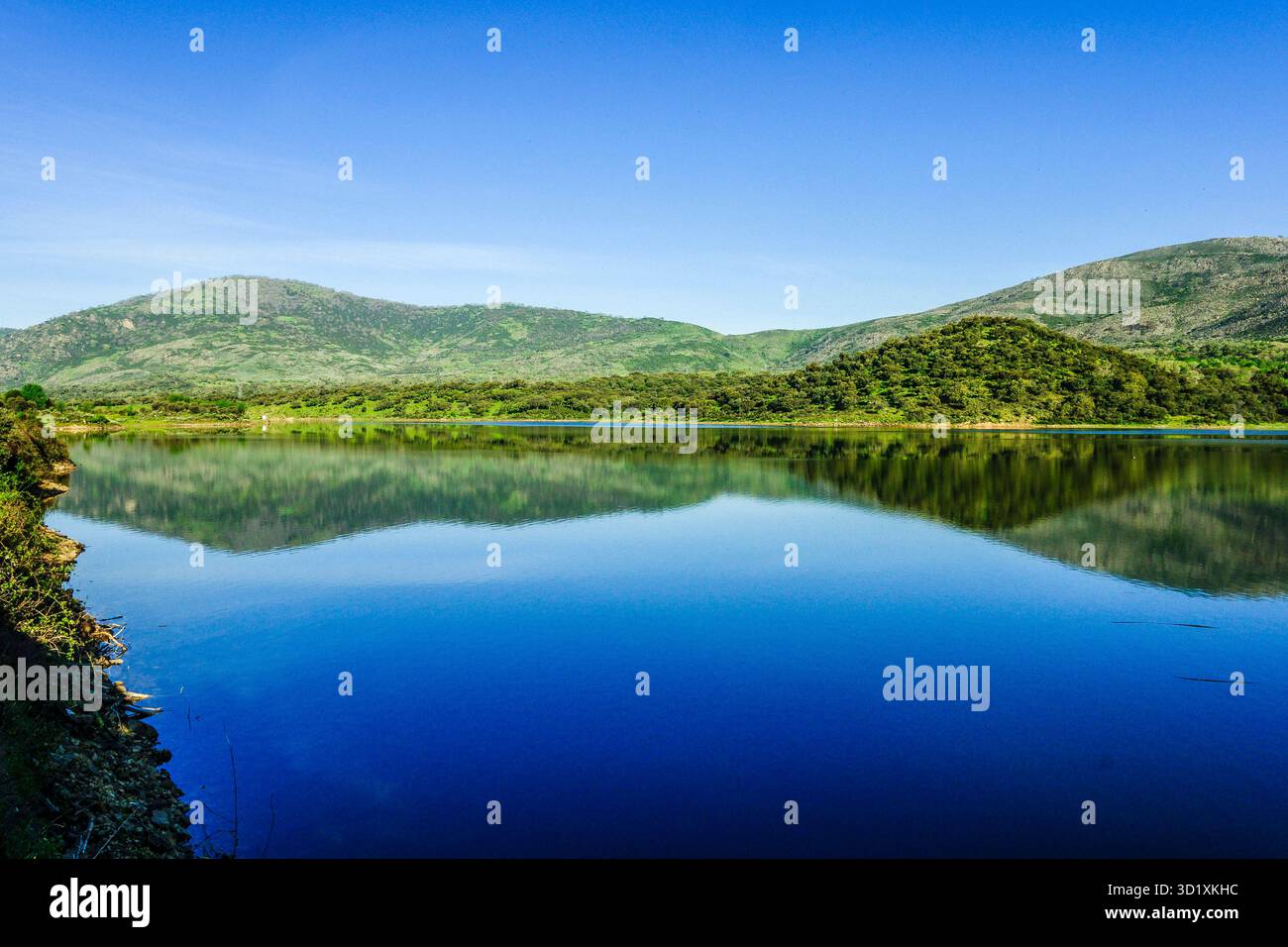Bacino idrico di Plasencia, Caceres, Estremadura, Spagna, Europa Foto Stock
