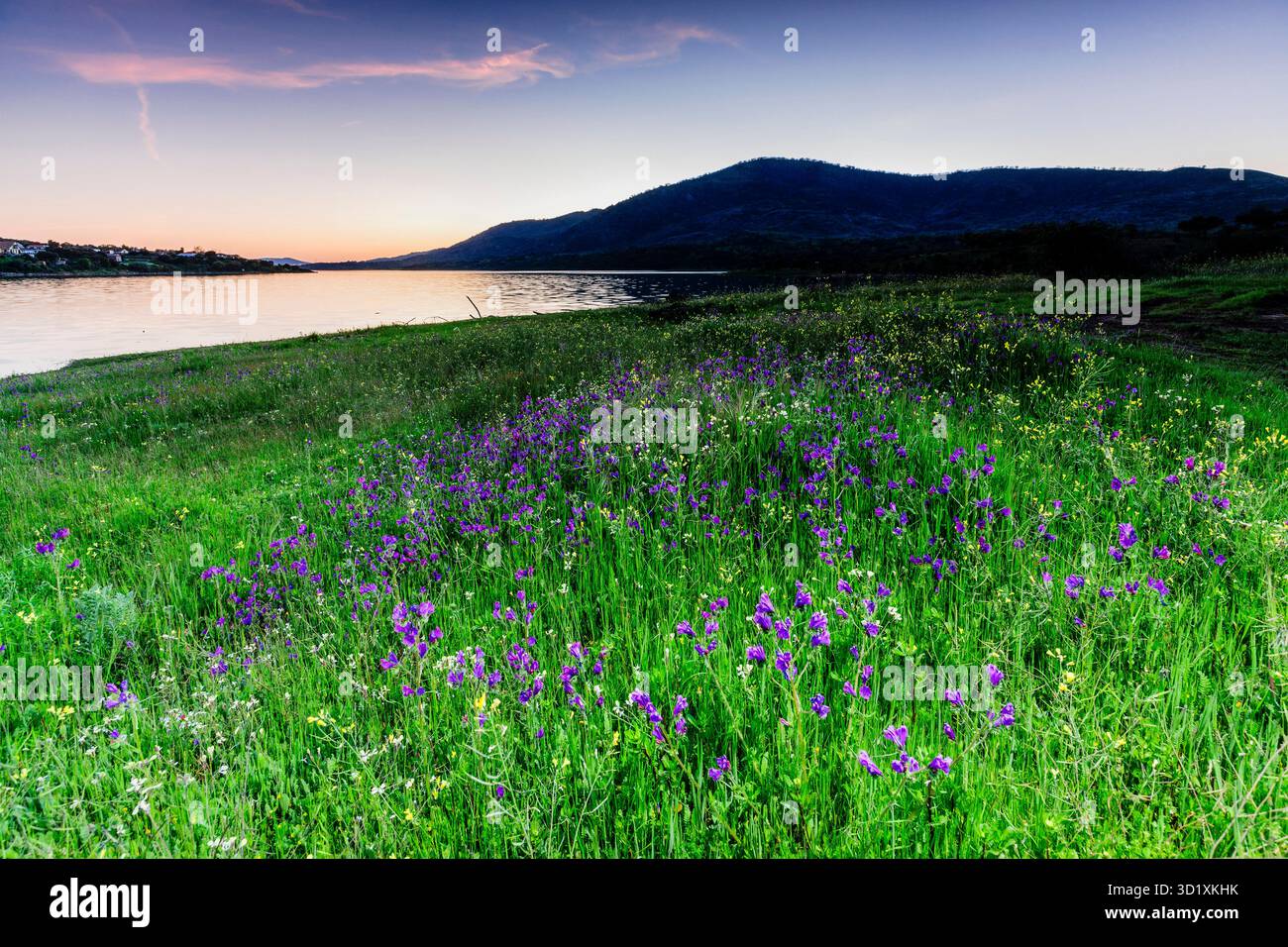 Bacino idrico di Plasencia, Caceres, Estremadura, Spagna, Europa Foto Stock