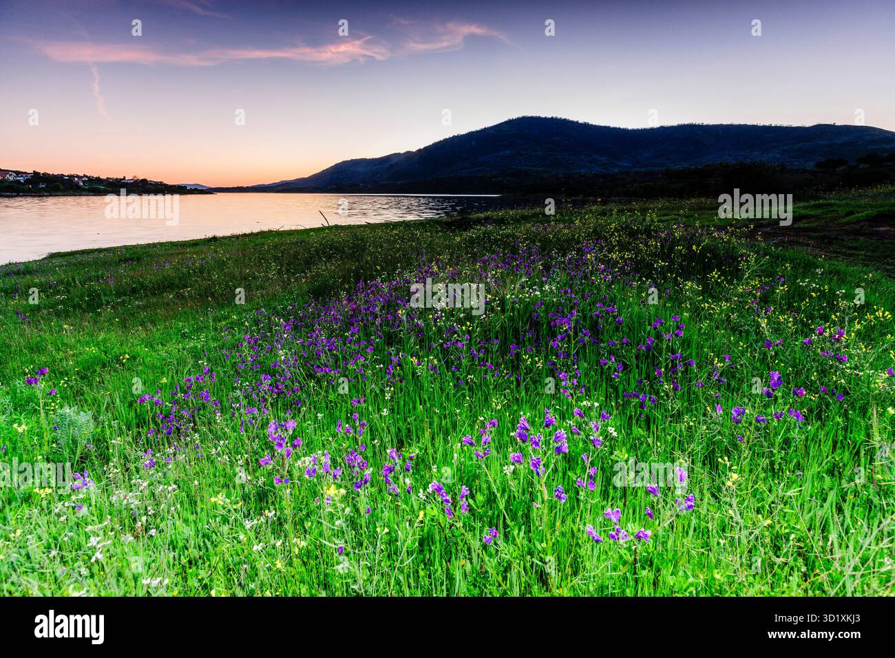 Bacino idrico di Plasencia, Caceres, Estremadura, Spagna, Europa Foto Stock
