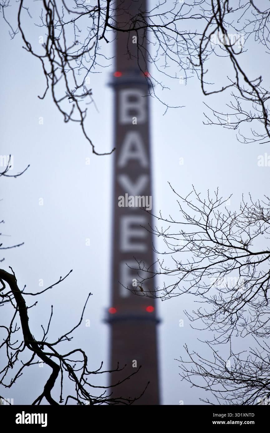 Scritta Bayer su un camino, un'azienda agrochimica e farmaceutica, Leverkusen, Germania, Europa Foto Stock