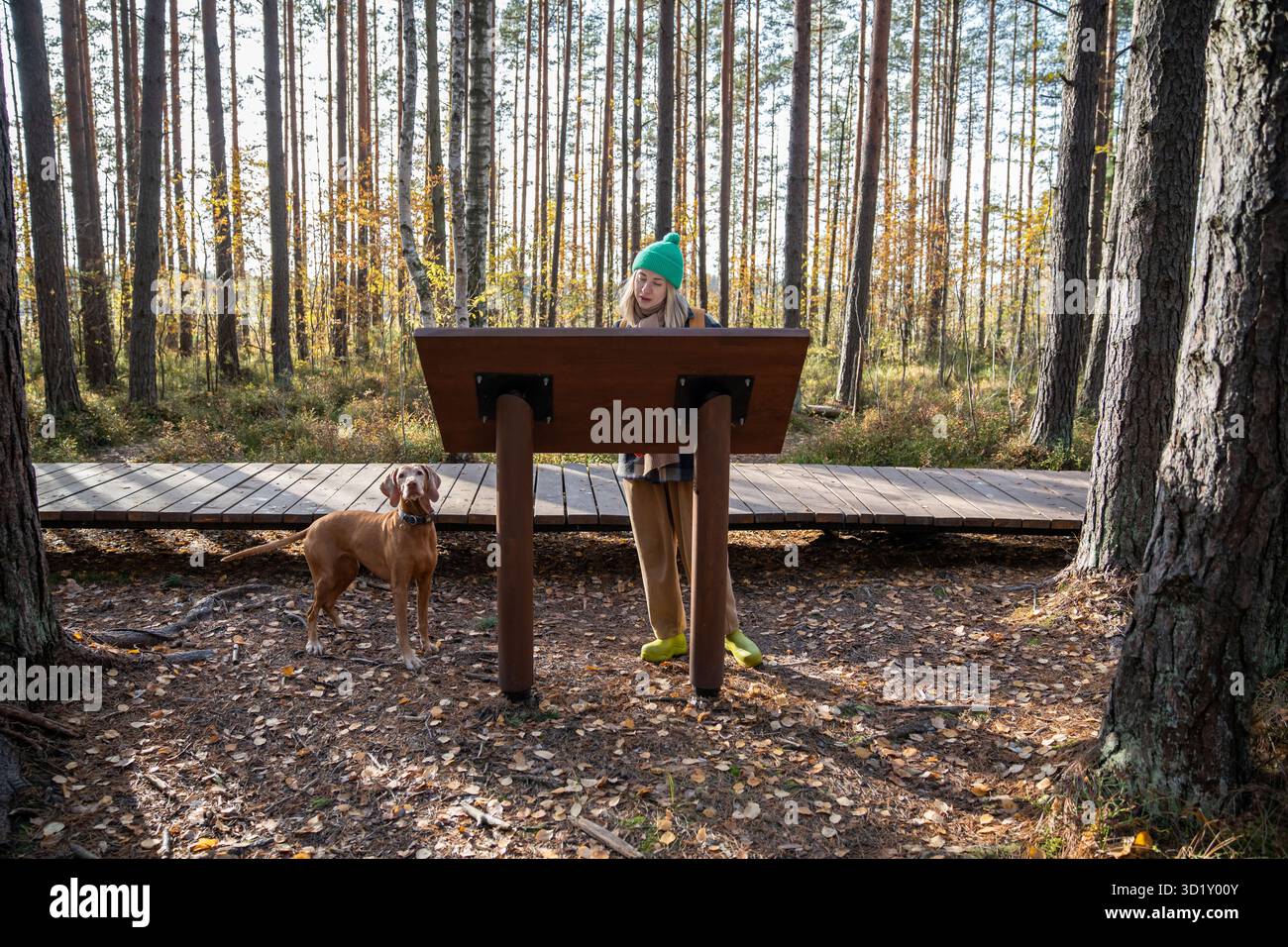 Una donna turistica di mezza età che cammina con il cane su un percorso ecologico legge informazioni nella foresta scandinava Foto Stock