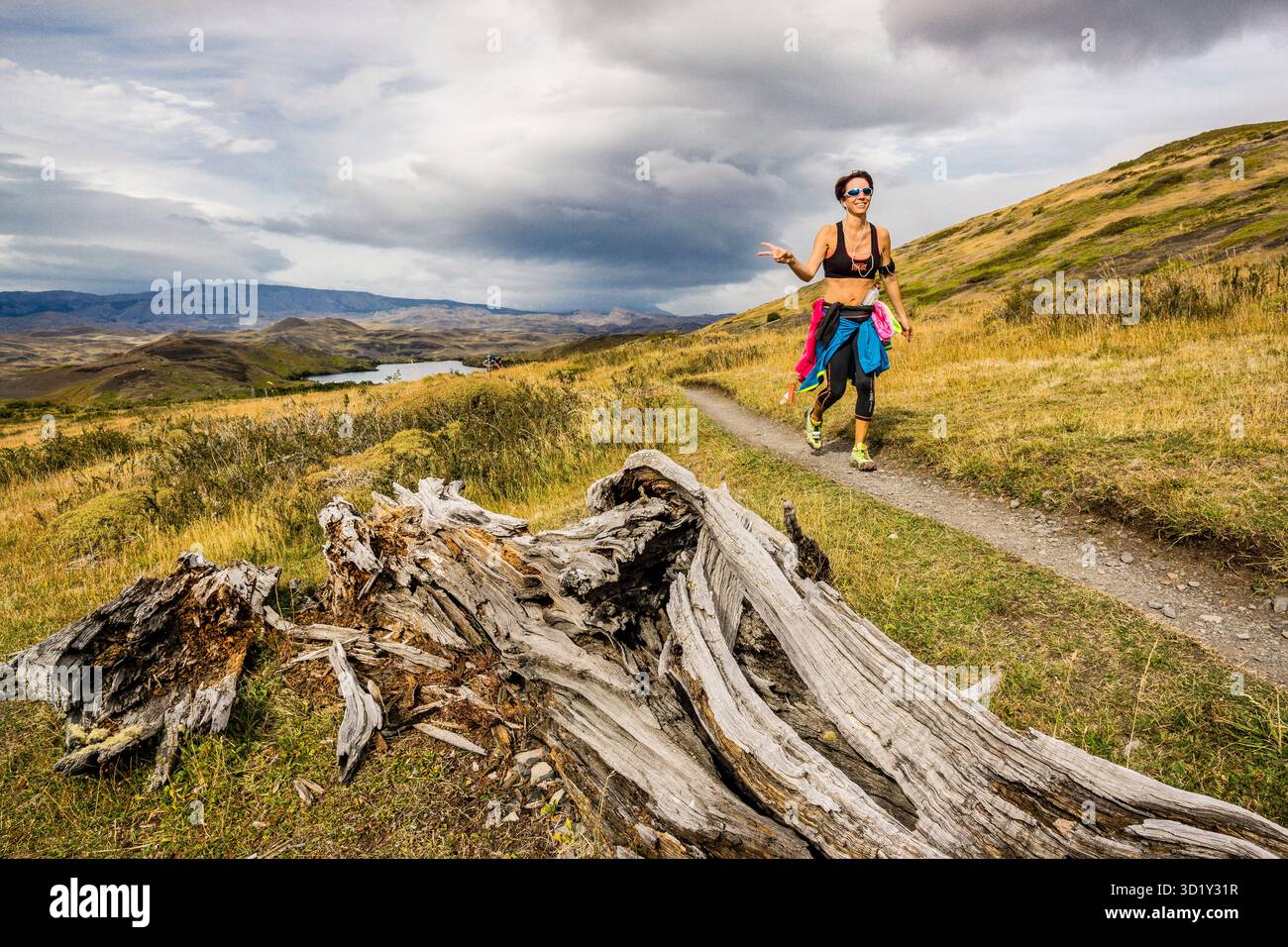 Escursionisti che camminano lungo il percorso W, Parco Nazionale Torres del Paine, sistema Nazionale delle aree selvagge protette, Patagonia, Repubblica del Cile Foto Stock