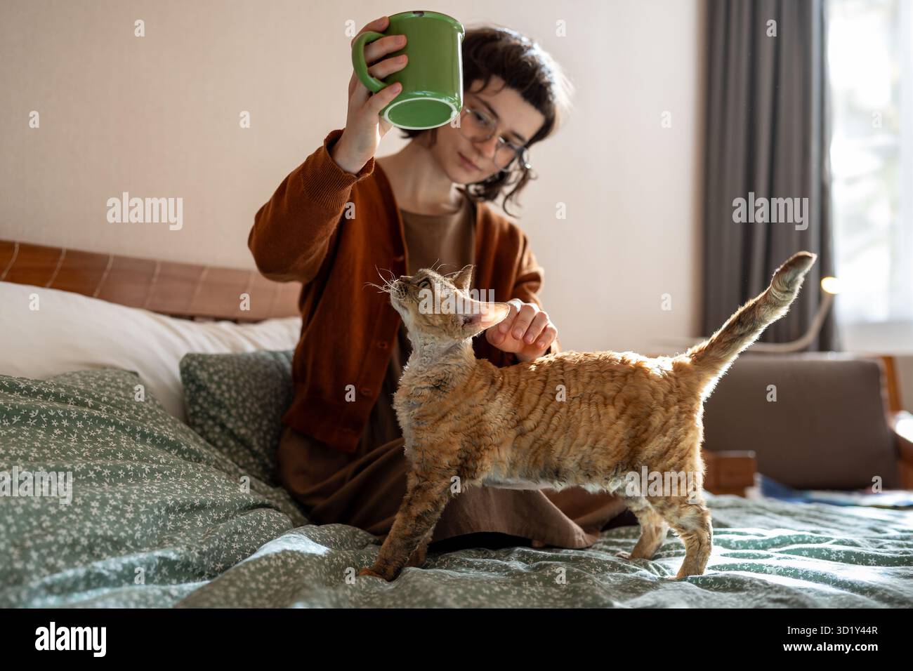 Il gatto amico soffice distoglie l'attenzione della ragazza dal bere del tè, richiedendo accarezzare, accarezzare, giocare Foto Stock