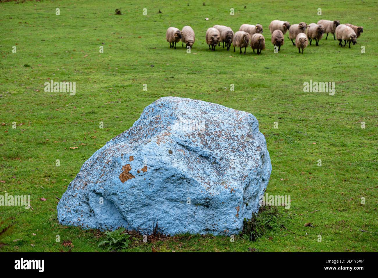 Gregge di pecore nell'eco-spazio o Rexo, un intervento pittorico e scultoreo dell'artista Agustín Ibarrola su una spa naturale Foto Stock