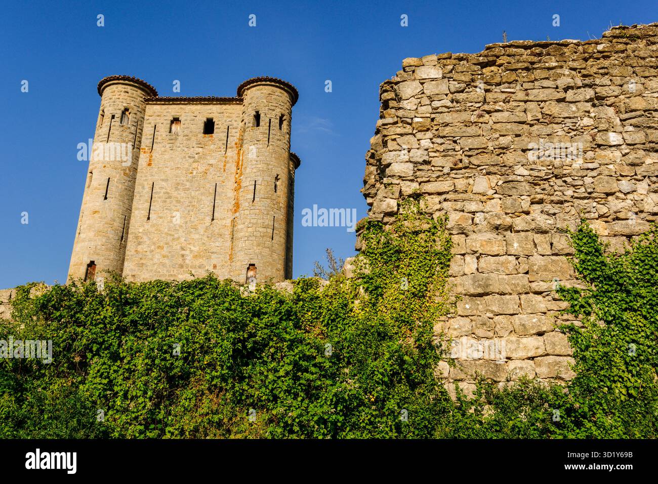 Arques castello, 13th ° secolo, dipartimento Aude, Languedoc-Roussillon, Pirenei Orientali, Francia, Europa Foto Stock