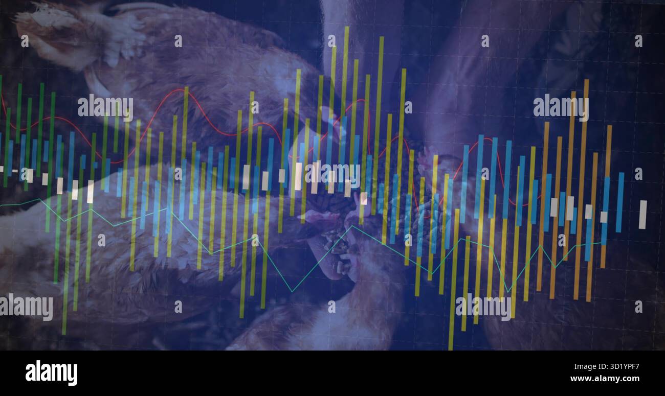 Visualizzazione di carcasse di pollame grezze sovrapposte alle barre dei candelieri, grafici a linee vivaci e griglia su lastra scura Foto Stock