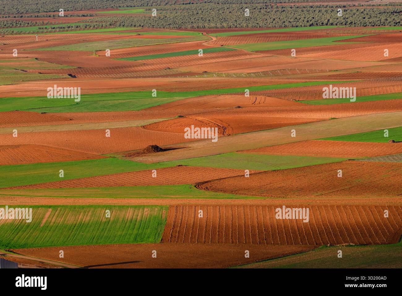 Campi di lavoro Foto Stock