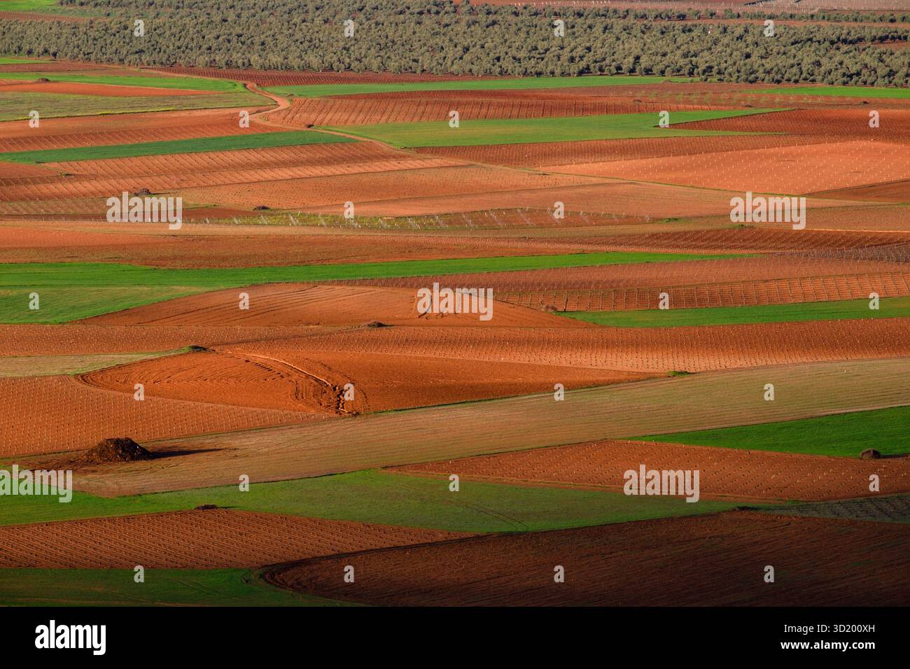 Campos de Labor Foto Stock