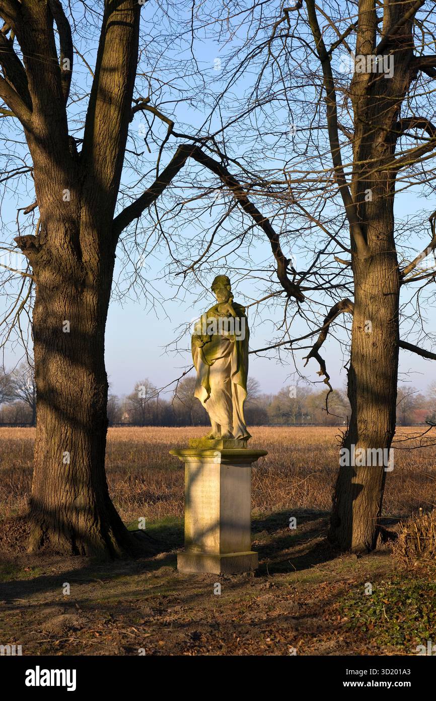 Sulla strada per Haus Vorhelm, Ahlen, Muensterland, Germania, Europa Foto Stock