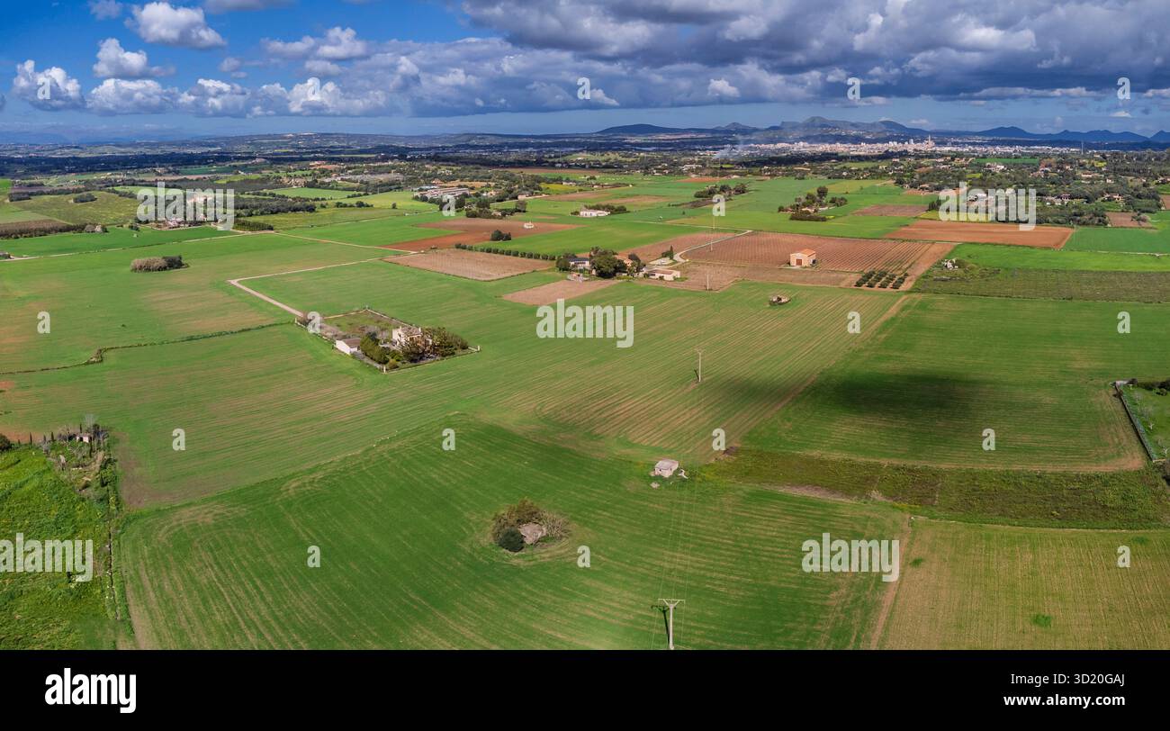 Campagna es Pla de Llodrà Foto Stock
