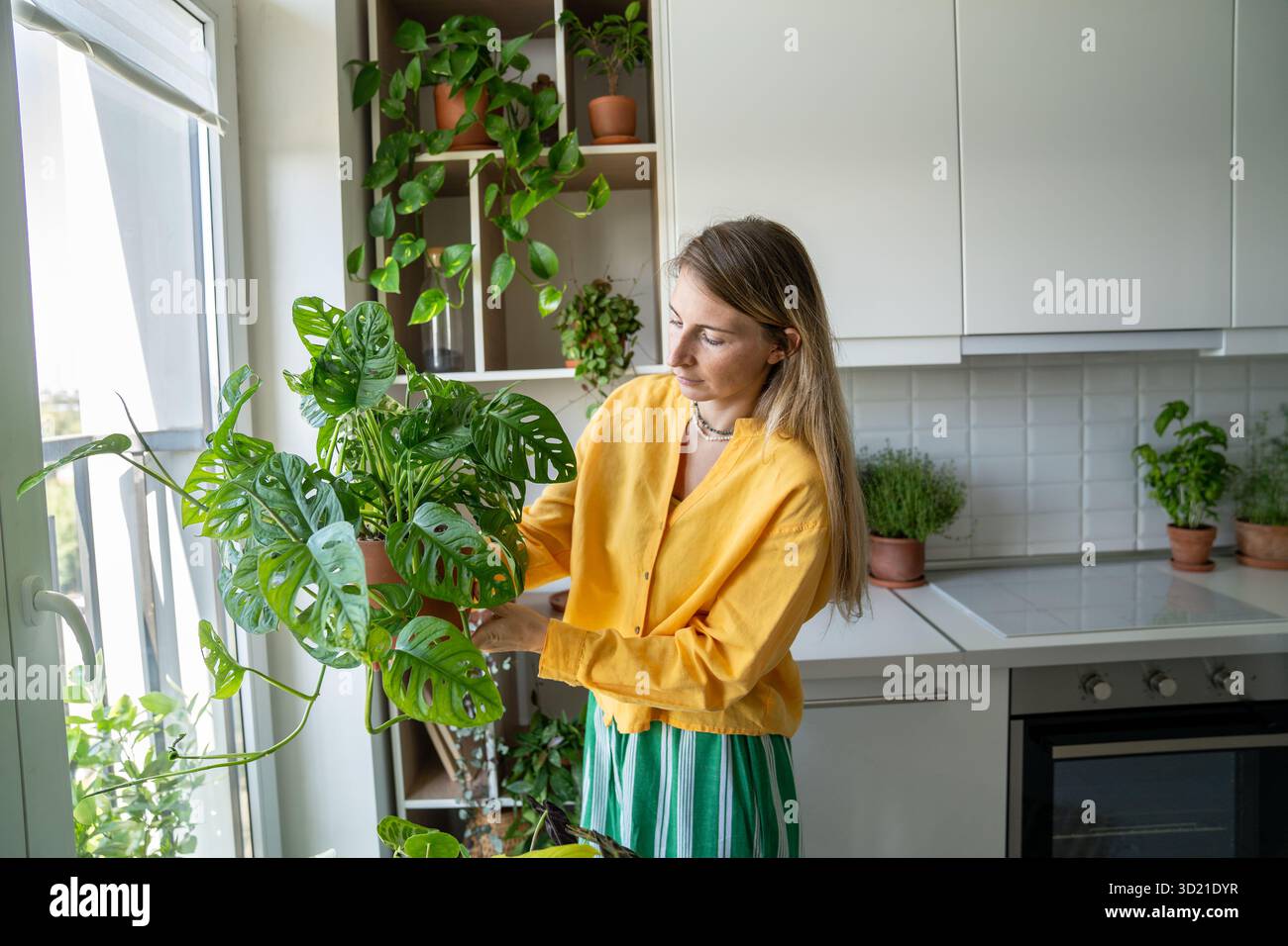 Una donna sorridente esamina l'impianto Monstera Monkey. Giardinaggio domestico, hobby. Foto Stock