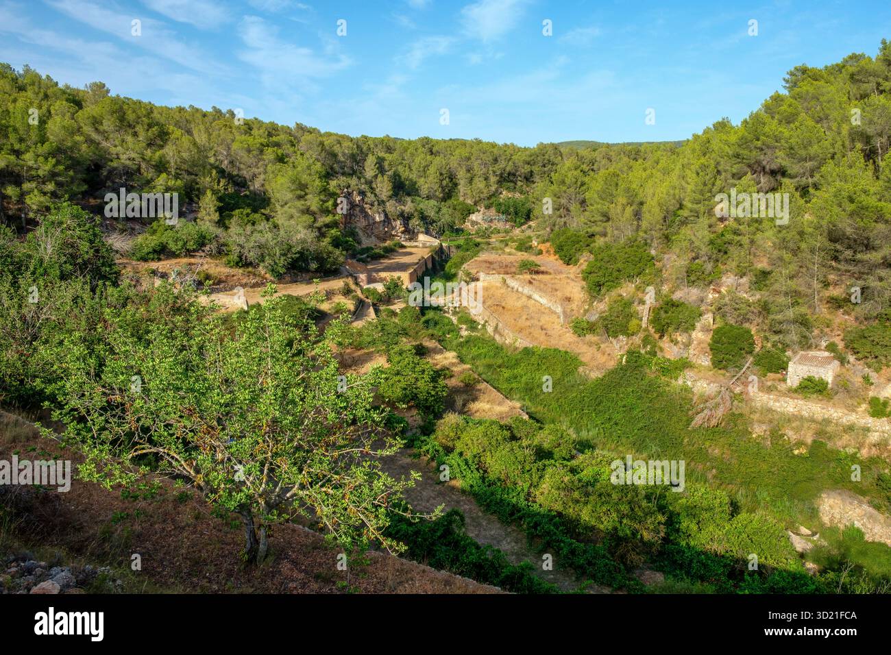 Frutteti di Broll de Buscastell, San Antonio de Portmany, Ibiza, Isole Baleari, Spagna Foto Stock