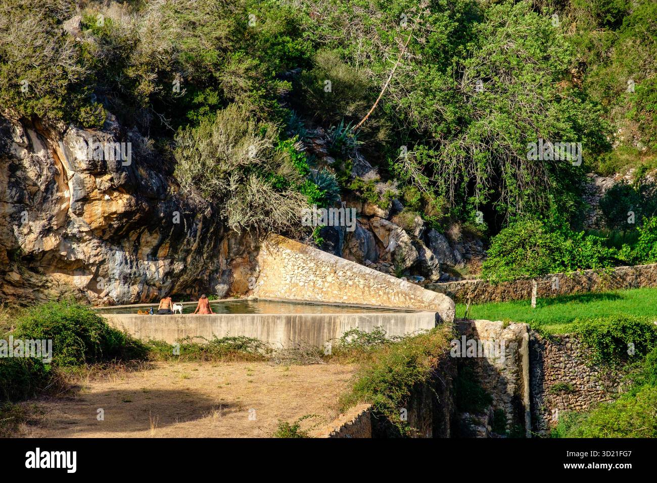Frutteti di Broll de Buscastell, San Antonio de Portmany, Ibiza, Isole Baleari, Spagna Foto Stock