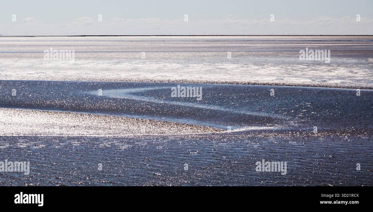 Schleswig-Holstein Parco Nazionale del Mare di Wadden all'incrocio da Foehr a Dagebuell, Frisia settentrionale, Germania, Europa Foto Stock