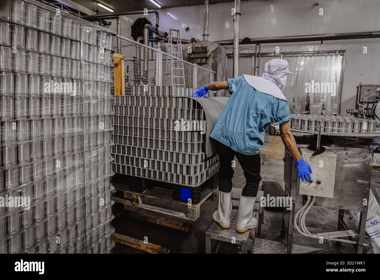 Fabbrica di lattine, fabbrica di alimenti di conserve operaio che carica contenitore di cibo in lattina nel trasporto, fabbrica di alimenti di lattina Foto Stock