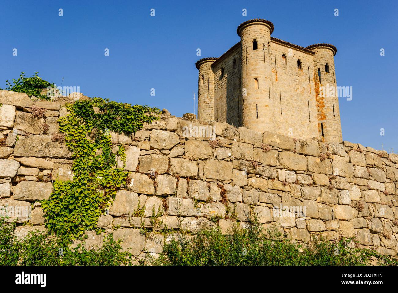Arques castello, 13th ° secolo, dipartimento Aude, Languedoc-Roussillon, Pirenei Orientali, Francia, Europa Foto Stock