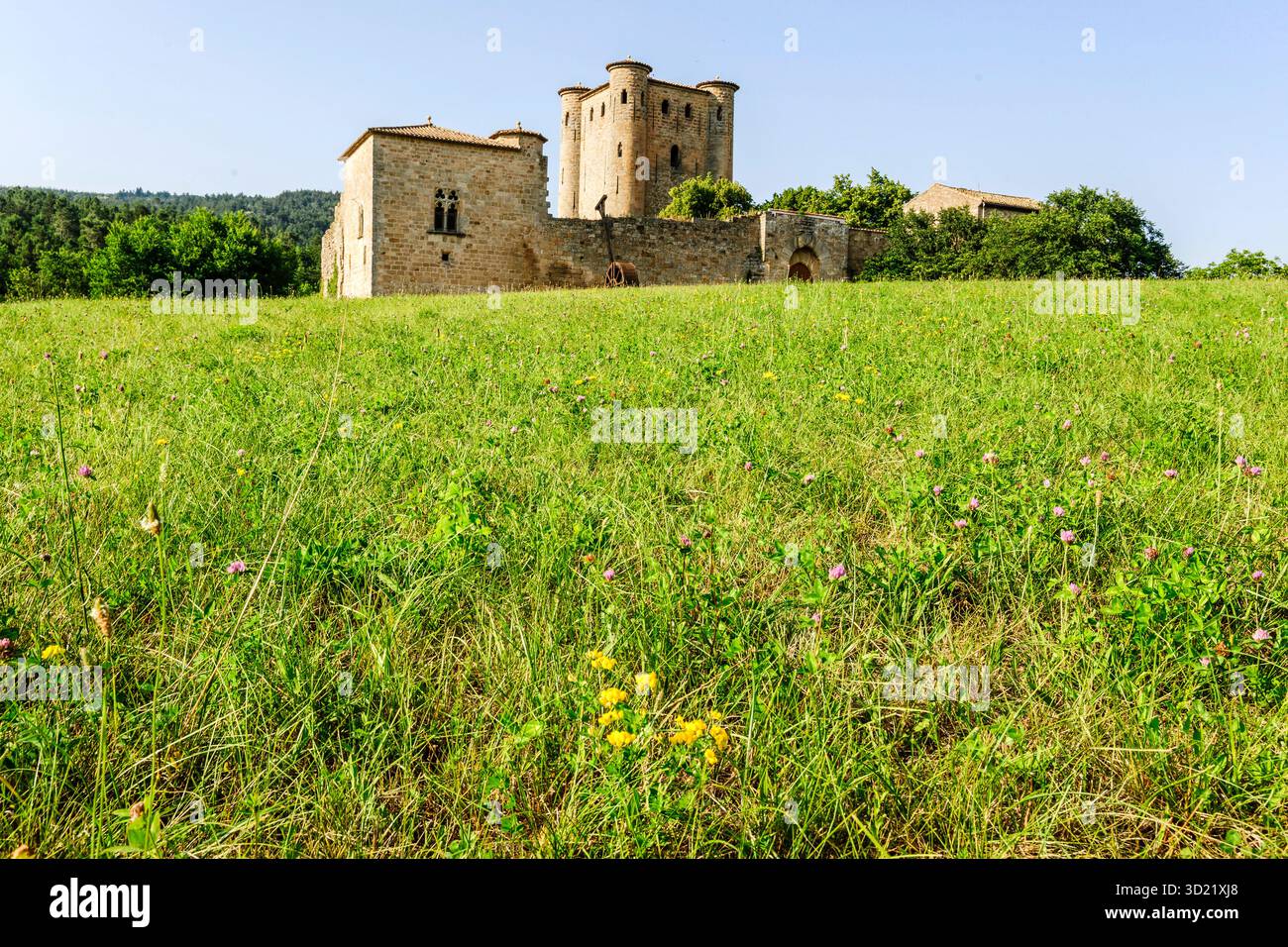 Arques castello, 13th ° secolo, dipartimento Aude, Languedoc-Roussillon, Pirenei Orientali, Francia, Europa Foto Stock