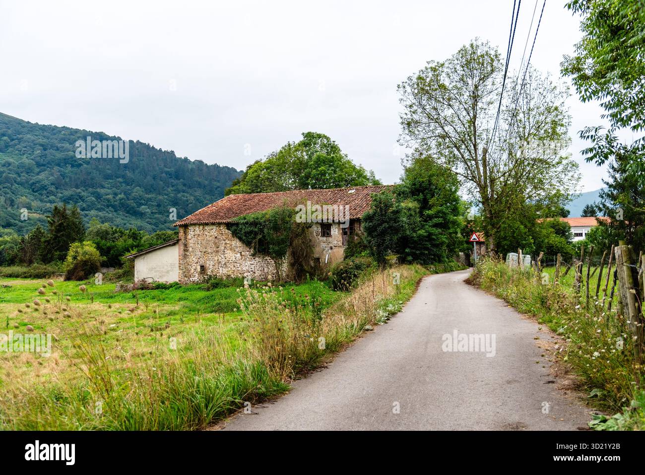 Una scena rurale lungo la valle del fiume Saja con un edificio in pietra e una strada, situata in Cantabria, Spagna, in un giorno coperto. Foto Stock