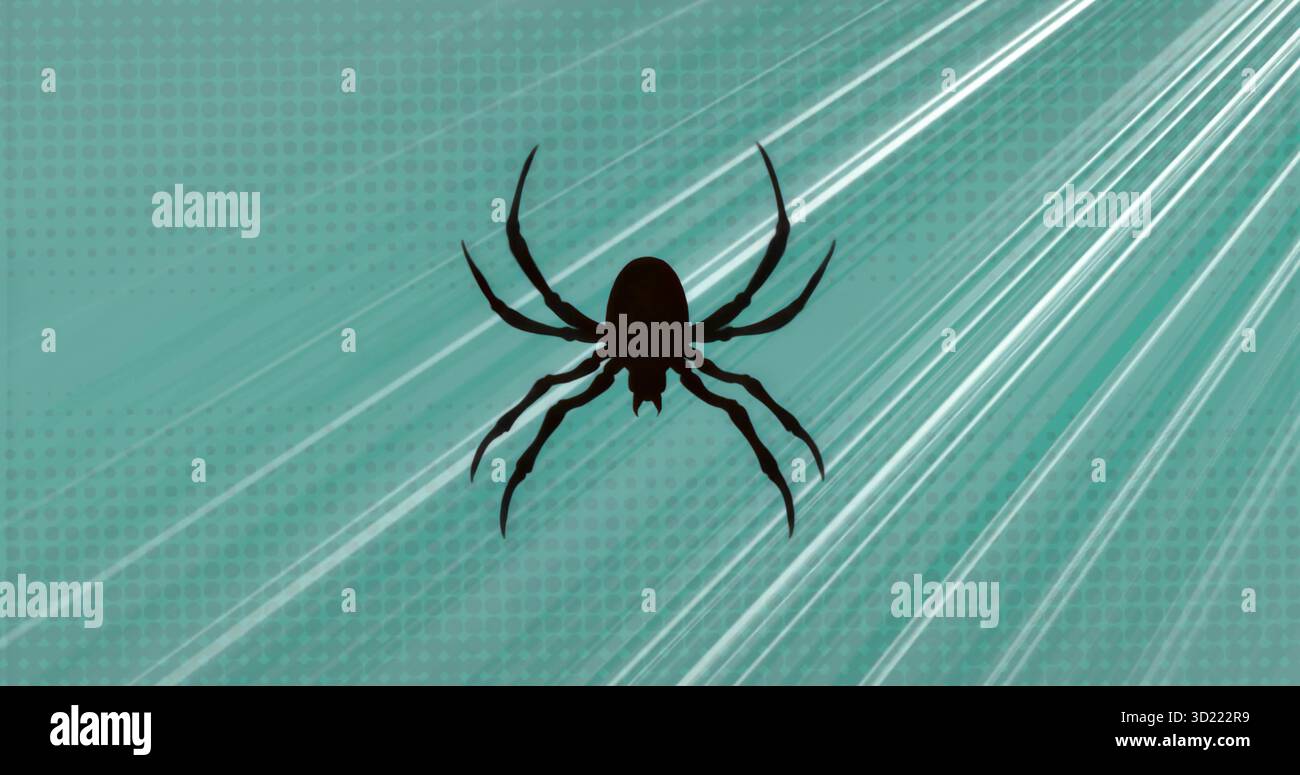 Mostra la silhouette nera del ragno su uno sfondo color ottanio con strisce diagonali bianche Foto Stock