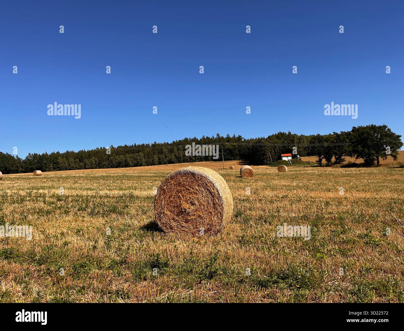 Ampio campo rurale sotto un cielo azzurro con nuvole bianche e soffici, tranquilla e tranquilla campagna. - Immagine stock catturata con smartphone