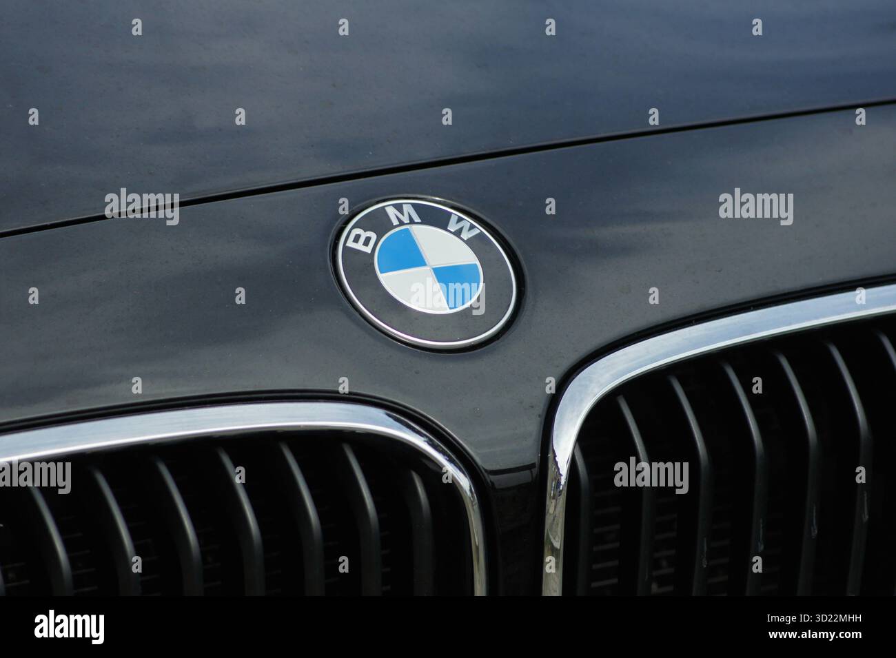 Il logo BMW risplende sull'elegante cofano di un'auto prestigiosa Foto Stock