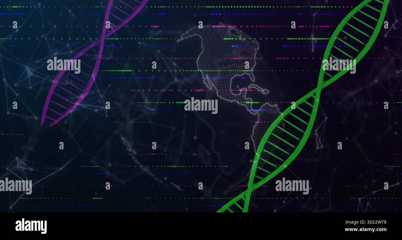 Visualizzazione del globo digitale con il profilo delle Americhe nella rete dati, con eliche di DNA verde magenta Foto Stock