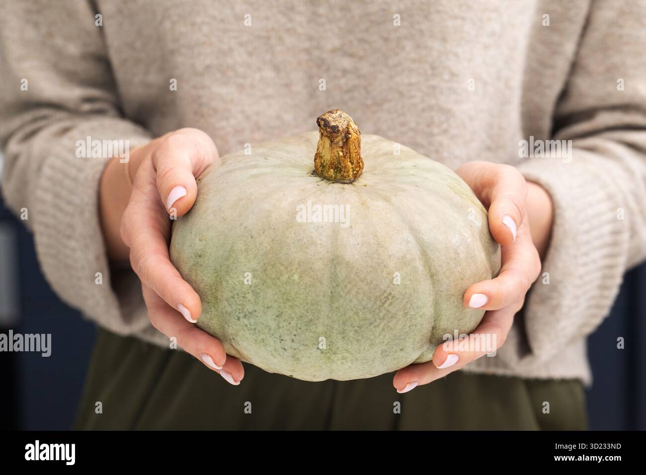 Tema del raccolto autunnale con zucca tenuta in mano per festeggiamenti stagionali. Verdure Foto Stock