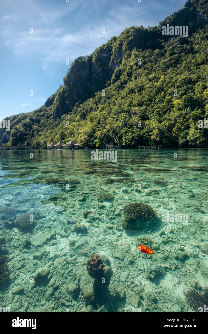 Acque cristalline con barriere coralline e una lussureggiante montagna verde sotto un cielo blu. Villaggio di Saleman, isola di Seram, Maluku, Indonesia Foto Stock
