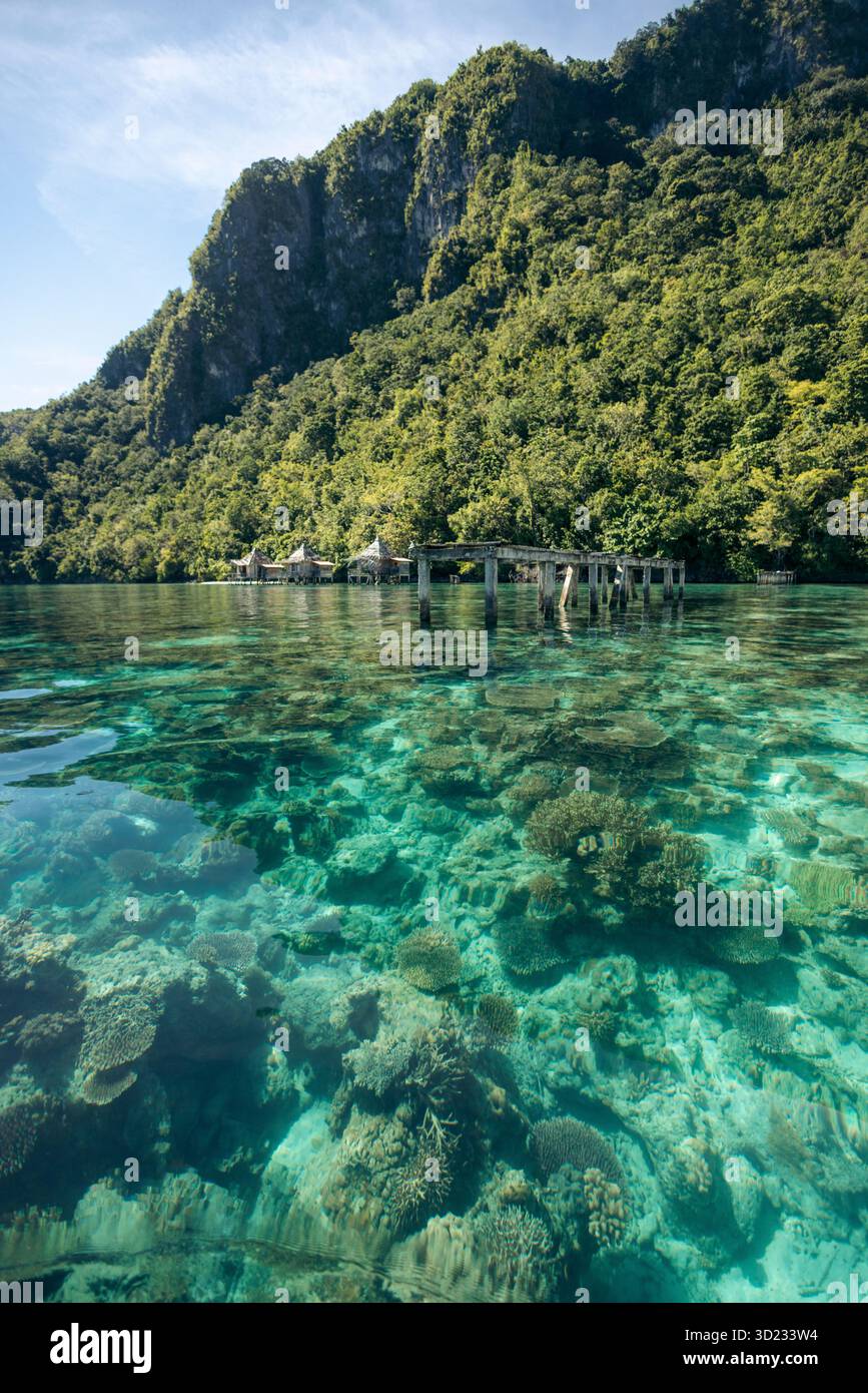 Acque turchesi cristalline con barriera corallina e lussureggianti montagne verdi sullo sfondo. Villaggio di Saleman, isola di Seram, Maluku, Indonesia Foto Stock