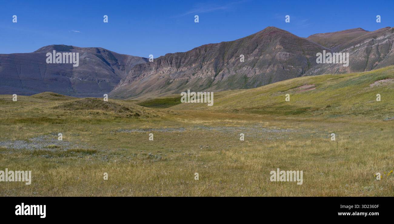 Ampie pianure erbose con montagne lontane e aspre sotto un cielo azzurro. Pincher Creek, Alberta, Canada Foto Stock