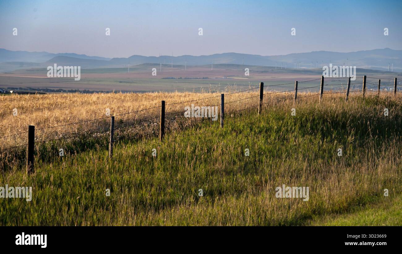 Paesaggio panoramico con una recinzione rustica che divide campi d'erba dorati e verdi sotto un cielo limpido. Waterton Lakes National Park, Alberta, Canada Foto Stock