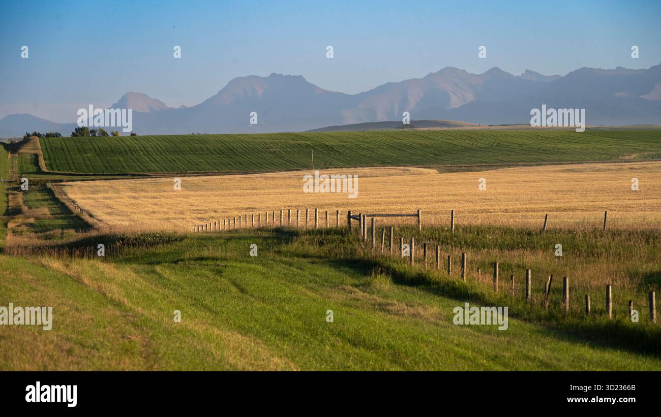 Ampio paesaggio rurale con campi, montagne lontane e una recinzione rustica sotto cieli limpidi. Waterton Lakes National Park, Alberta, Canada Foto Stock