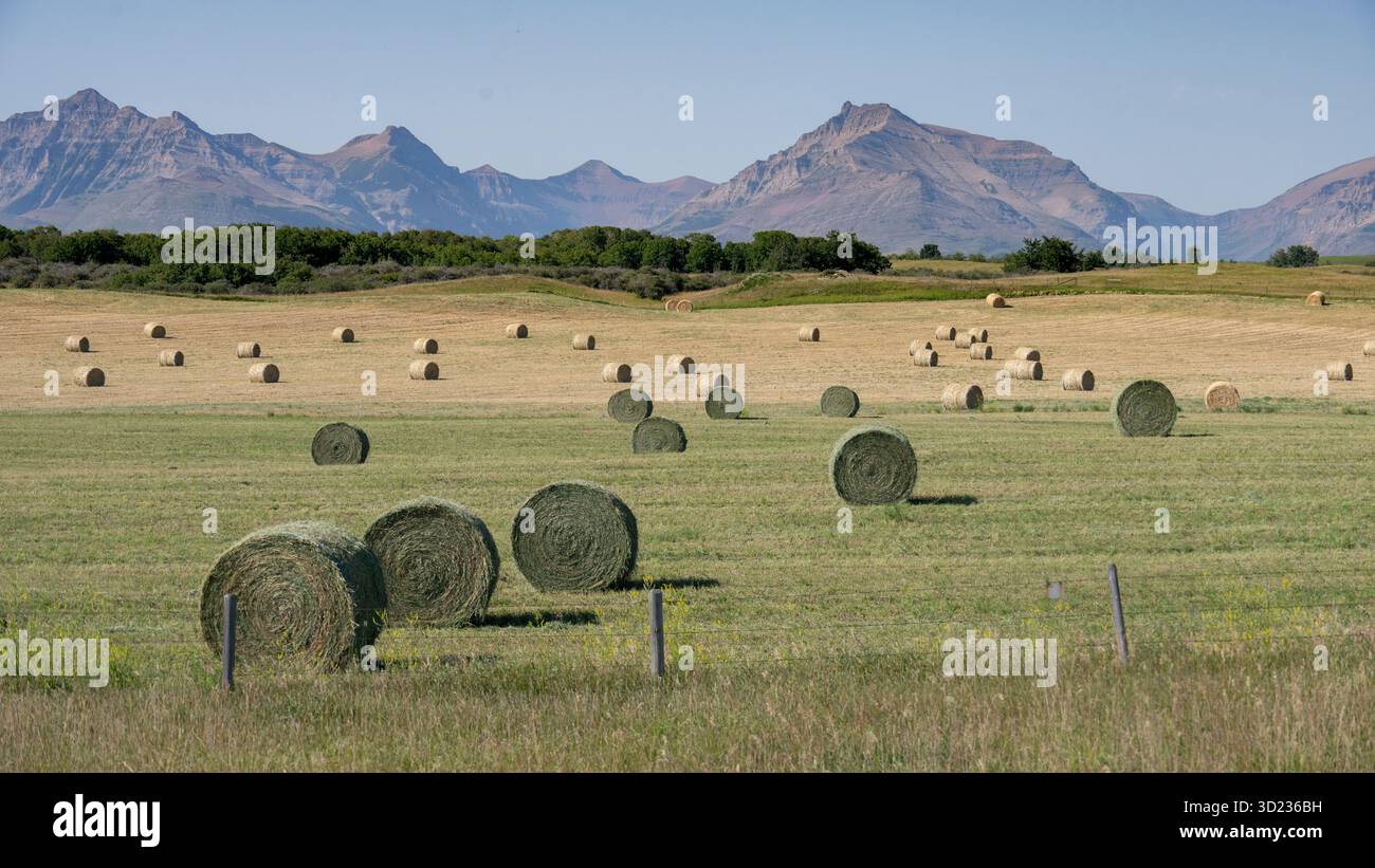 Waterton Lakes National Park of Canada, Alberta, Canada Foto Stock