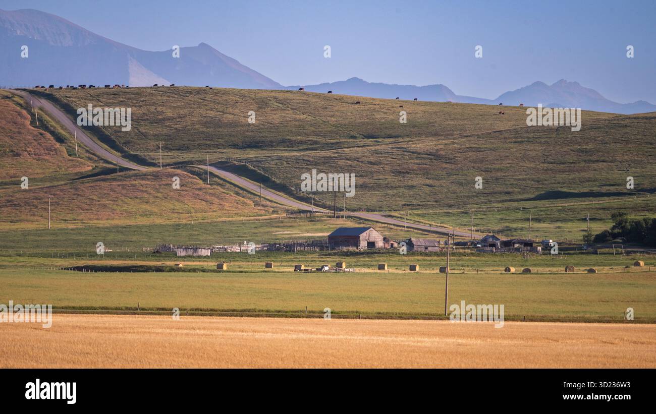 Colline ondulate con una strada, una fattoria e montagne lontane sotto un cielo azzurro. Waterton Lakes National Park, Alberta, Canada Foto Stock