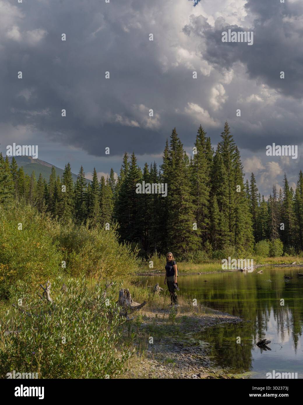 Una persona si erge su un rigoglioso lungofiume con fitte conifere e spettacolari nuvole. Kananaskis, Alberta, Canada Foto Stock