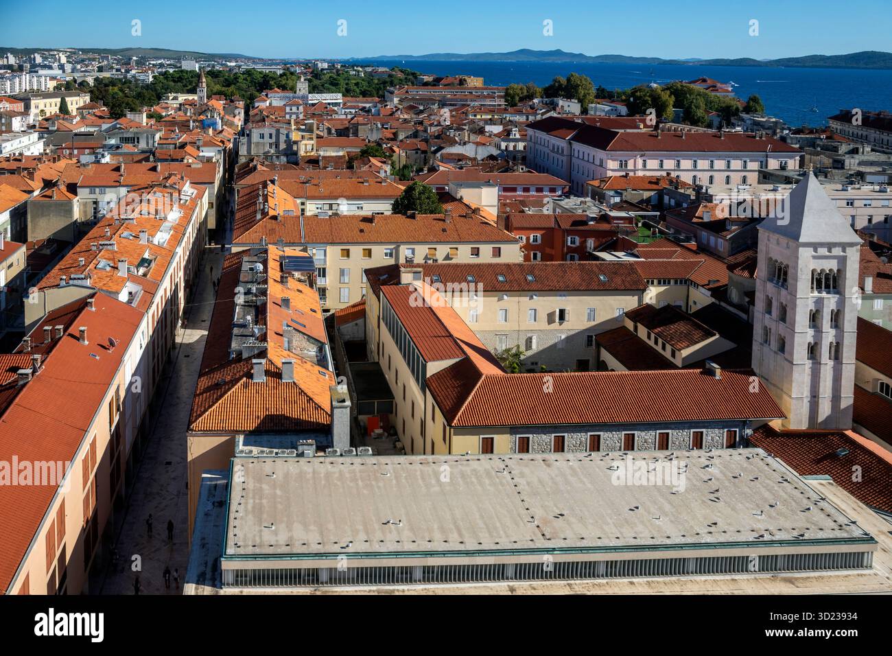 Vista aerea della storica Zara con tetti di tegole rosse e campanile sul mare, Croazia. Foto Stock