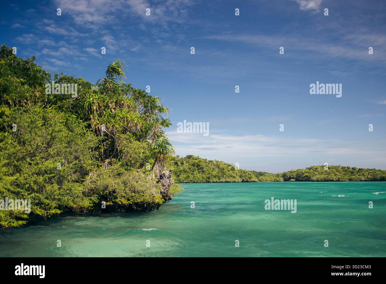Lussureggiante costa tropicale con acque turchesi e cieli azzurri. Pulau Bair o Bair Island a Kei Kecil, Reggenza sud-orientale di Maluku, Maluku, Indonesia Foto Stock